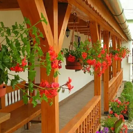 Pensjonat Gerendas Vendeghaz Egerszalók