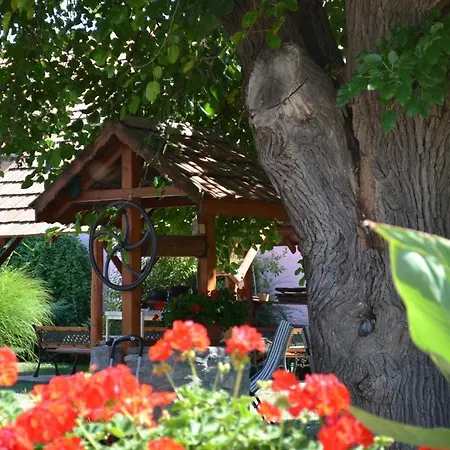 Gerendas Vendeghaz *